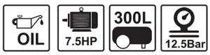 7.5hp 300 lts 12.5 bar 380v ab w0.60